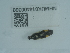  ( - NHMUK014400300)  @11 [ ] Unspecified (default): All Rights Reserved  Unspecified Unspecified