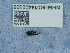  ( - NHMUK014400309)  @11 [ ] Unspecified (default): All Rights Reserved  Unspecified Unspecified