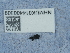  ( - NHMUK014400309)  @11 [ ] Unspecified (default): All Rights Reserved  Unspecified Unspecified