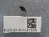  ( - NHMUK014421570)  @11 [ ] Unspecified (default): All Rights Reserved  Unspecified Unspecified