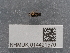  ( - NHMUK014421570)  @11 [ ] Unspecified (default): All Rights Reserved  Unspecified Unspecified