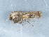  ( - NHMUK014425653)  @11 [ ] Unspecified (default): All Rights Reserved  Unspecified Unspecified