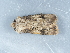  ( - NHMUK014425653)  @11 [ ] Unspecified (default): All Rights Reserved  Unspecified Unspecified