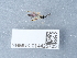  ( - NHMUK014425785)  @11 [ ] Unspecified (default): All Rights Reserved  Unspecified Unspecified