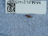  ( - NHMUK014433267)  @11 [ ] Unspecified (default): All Rights Reserved  Unspecified Unspecified