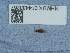  ( - NHMUK014433267)  @11 [ ] Unspecified (default): All Rights Reserved  Unspecified Unspecified