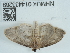  ( - NHMUK014433289)  @11 [ ] Unspecified (default): All Rights Reserved  Unspecified Unspecified