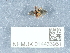  ( - NHMUK014433951)  @11 [ ] Unspecified (default): All Rights Reserved  Unspecified Unspecified