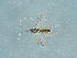  ( - NHMUK014433952)  @11 [ ] Unspecified (default): All Rights Reserved  Unspecified Unspecified