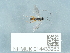  ( - NHMUK014433952)  @11 [ ] Unspecified (default): All Rights Reserved  Unspecified Unspecified