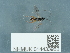  ( - NHMUK014433952)  @11 [ ] Unspecified (default): All Rights Reserved  Unspecified Unspecified