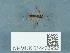  ( - NHMUK014433952)  @11 [ ] Unspecified (default): All Rights Reserved  Unspecified Unspecified