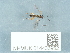  ( - NHMUK014433952)  @11 [ ] Unspecified (default): All Rights Reserved  Unspecified Unspecified