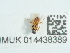  ( - NHMUK014438389)  @11 [ ] Unspecified (default): All Rights Reserved  Unspecified Unspecified