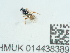  ( - NHMUK014438389)  @11 [ ] Unspecified (default): All Rights Reserved  Unspecified Unspecified