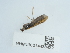  ( - NHMUK014438422)  @11 [ ] Unspecified (default): All Rights Reserved  Unspecified Unspecified