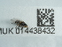 ( - NHMUK014438432)  @11 [ ] Unspecified (default): All Rights Reserved  Unspecified Unspecified