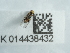  ( - NHMUK014438432)  @11 [ ] Unspecified (default): All Rights Reserved  Unspecified Unspecified