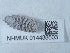  ( - NHMUK014438503)  @11 [ ] Unspecified (default): All Rights Reserved  Unspecified Unspecified