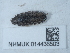  ( - NHMUK014438503)  @11 [ ] Unspecified (default): All Rights Reserved  Unspecified Unspecified