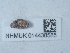  ( - NHMUK014438585)  @11 [ ] Unspecified (default): All Rights Reserved  Unspecified Unspecified