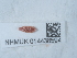  ( - NHMUK014438594)  @11 [ ] Unspecified (default): All Rights Reserved  Unspecified Unspecified