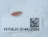 ( - NHMUK014438594)  @11 [ ] Unspecified (default): All Rights Reserved  Unspecified Unspecified