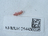  ( - NHMUK014438596)  @11 [ ] Unspecified (default): All Rights Reserved  Unspecified Unspecified