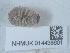  ( - NHMUK014438601)  @11 [ ] Unspecified (default): All Rights Reserved  Unspecified Unspecified