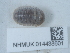  ( - NHMUK014438601)  @11 [ ] Unspecified (default): All Rights Reserved  Unspecified Unspecified