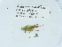  ( - NHMUK014438609)  @11 [ ] Unspecified (default): All Rights Reserved  Unspecified Unspecified