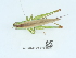  ( - NHMUK014438609)  @11 [ ] Unspecified (default): All Rights Reserved  Unspecified Unspecified