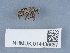  ( - NHMUK014438667)  @11 [ ] Unspecified (default): All Rights Reserved  Unspecified Unspecified