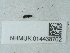  ( - NHMUK014438702)  @11 [ ] Unspecified (default): All Rights Reserved  Unspecified Unspecified