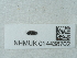  ( - NHMUK014438702)  @11 [ ] Unspecified (default): All Rights Reserved  Unspecified Unspecified
