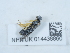  ( - NHMUK014438860)  @11 [ ] Unspecified (default): All Rights Reserved  Unspecified Unspecified