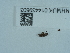 ( - NHMUK014439803)  @11 [ ] Unspecified (default): All Rights Reserved  Unspecified Unspecified