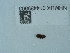  ( - NHMUK014439803)  @11 [ ] Unspecified (default): All Rights Reserved  Unspecified Unspecified