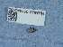  ( - NHMUK014440488)  @11 [ ] Unspecified (default): All Rights Reserved  Unspecified Unspecified