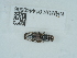  ( - NHMUK014440505)  @11 [ ] Unspecified (default): All Rights Reserved  Unspecified Unspecified