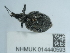  ( - NHMUK014440593)  @11 [ ] Unspecified (default): All Rights Reserved  Unspecified Unspecified