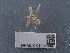  ( - NHMUK014440597)  @11 [ ] Unspecified (default): All Rights Reserved  Unspecified Unspecified