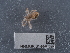  ( - NHMUK014440597)  @11 [ ] Unspecified (default): All Rights Reserved  Unspecified Unspecified