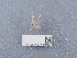  ( - NHMUK014440597)  @11 [ ] Unspecified (default): All Rights Reserved  Unspecified Unspecified