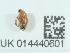  ( - NHMUK014440601)  @11 [ ] Unspecified (default): All Rights Reserved  Unspecified Unspecified