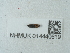  ( - NHMUK014440619)  @11 [ ] Unspecified (default): All Rights Reserved  Unspecified Unspecified