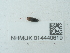  ( - NHMUK014440619)  @11 [ ] Unspecified (default): All Rights Reserved  Unspecified Unspecified
