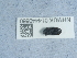  ( - NHMUK014440660)  @11 [ ] Unspecified (default): All Rights Reserved  Unspecified Unspecified