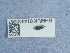  ( - NHMUK014440667)  @11 [ ] Unspecified (default): All Rights Reserved  Unspecified Unspecified