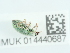  ( - NHMUK014440687)  @11 [ ] Unspecified (default): All Rights Reserved  Unspecified Unspecified
